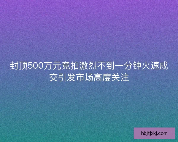 封顶500万元竞拍激烈不到一分钟火速成交引发市场高度关注