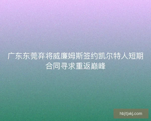广东东莞弃将威廉姆斯签约凯尔特人短期合同寻求重返巅峰